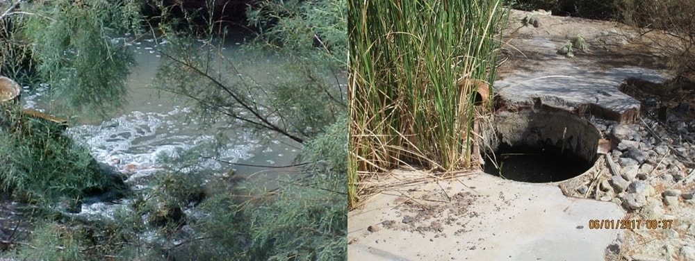 Left: Seep in 2004. Right: Seep in June 2017.