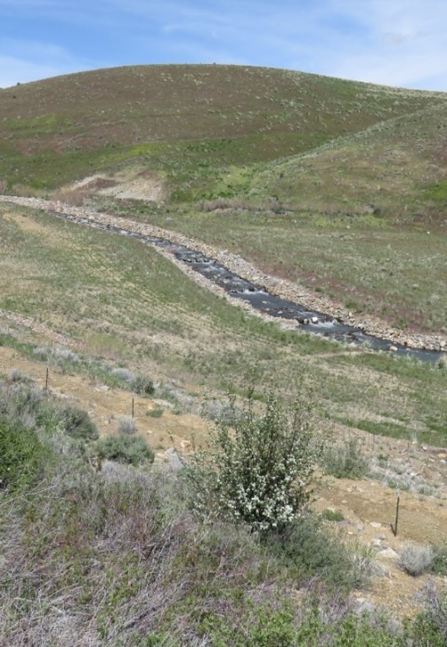 View to the northwest of restored Mill Creek at Rio Tinto Copper Mine in Elko County, Nevada.
